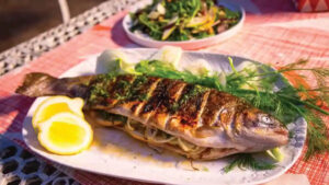 Read more about the article नॉनवेज के शौकीनों का पसंदीदा भोजन है हिमाचल की कुल्लू ट्राउट मछली